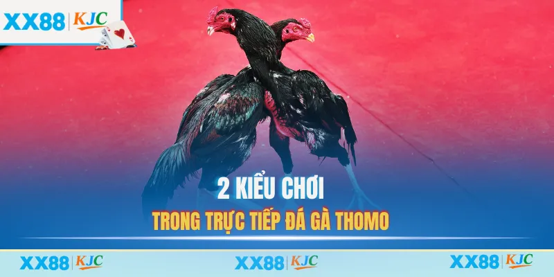 2 kiểu chơi trong trực tiếp đá gà thomo