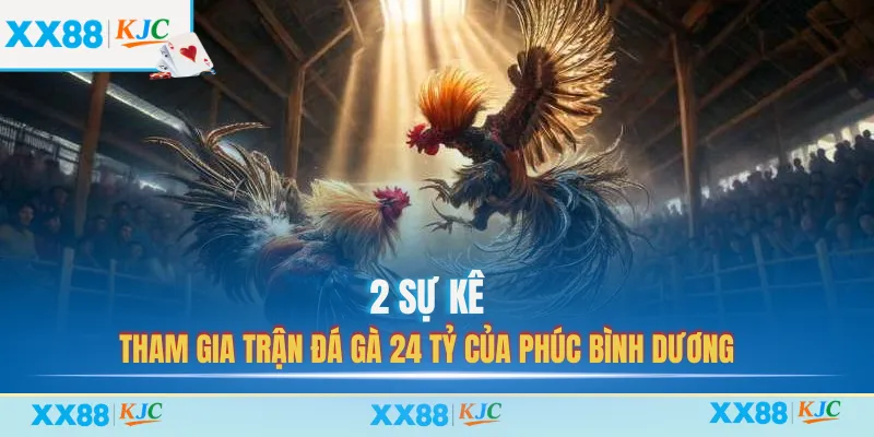 2 sự kê tham gia trận đá gà 24 tỷ của Phúc Bình Dương
