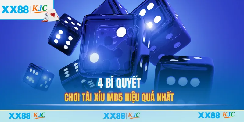 4 bí quyết chơi tài xỉu MD5 hiệu quả nhất