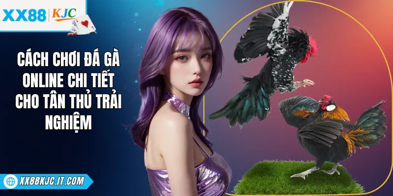 Cách Chơi Đá Gà Online Chi Tiết Cho Tân Thủ Trải Nghiệm