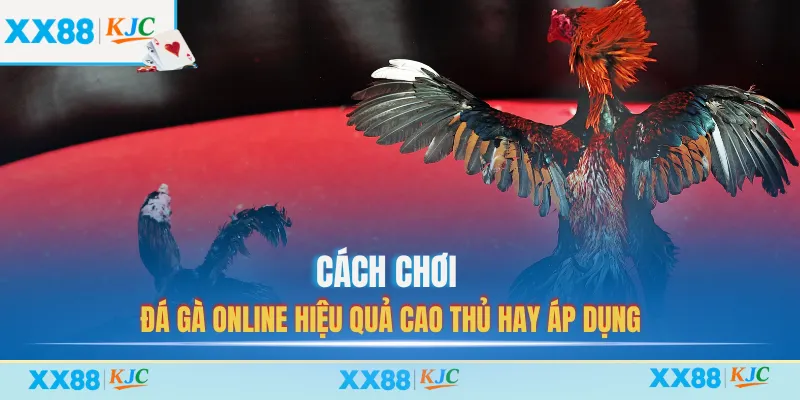 Cách chơi đá gà online hiệu quả cao thủ hay áp dụng