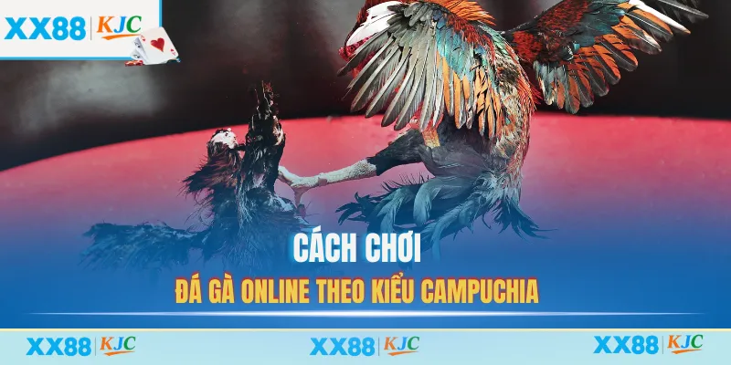 Cách chơi đá gà online theo kiểu Campuchia