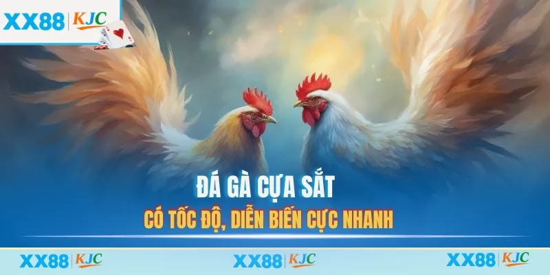 Đá gà cựa sắt có tốc độ, diễn biến cực nhanh