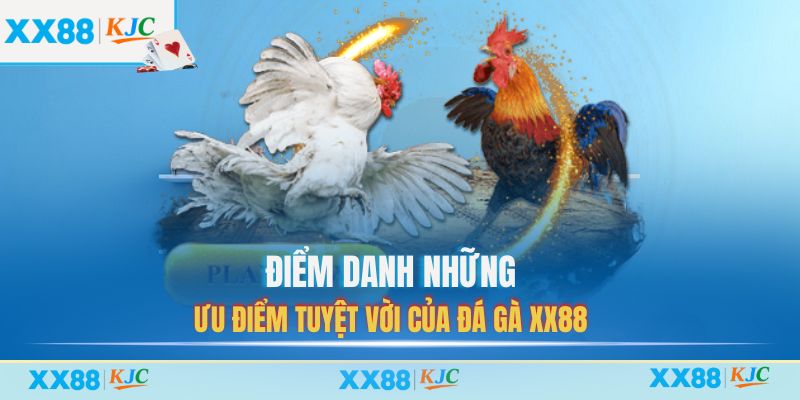 Điểm danh những ưu điểm tuyệt vời của Đá Gà XX88