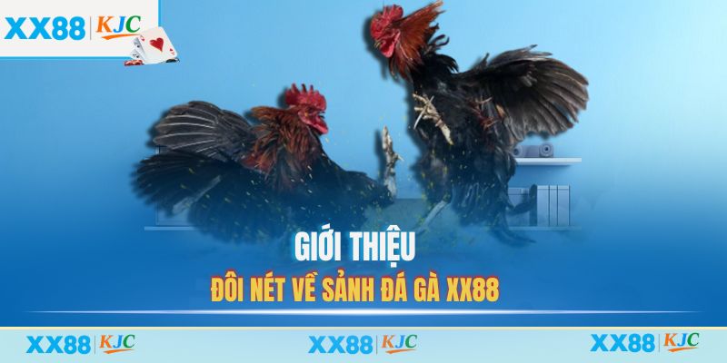 Giới thiệu đôi nét về sảnh Đá Gà XX88