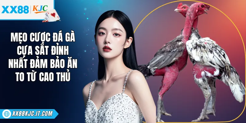 Mẹo Cược Đá Gà Cựa Sắt Đỉnh Nhất Đảm Bảo Ăn To Từ Cao Thủ