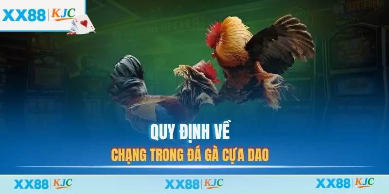 Quy định về chạng trong đá gà cựa dao