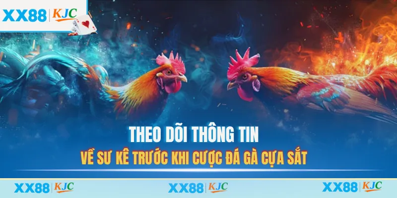 Theo dõi thông tin về sư kê trước khi cược đá gà cựa sắt
