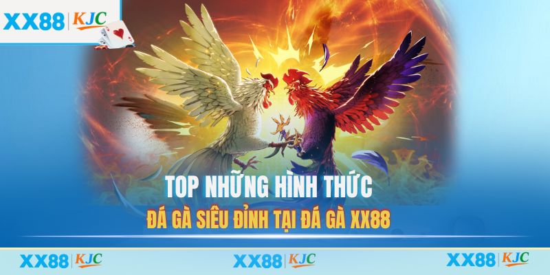 Top những hình thức đá gà siêu đỉnh tại Đá Gà XX88