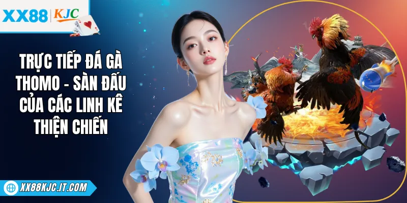 Trực Tiếp Đá Gà Thomo - Sàn Đấu Của Các Linh Kê Thiện Chiến