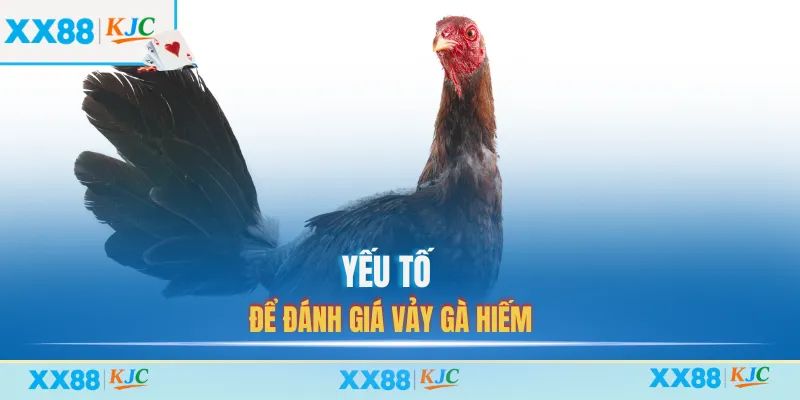 Yếu tố để đánh giá vảy gà hiếm
